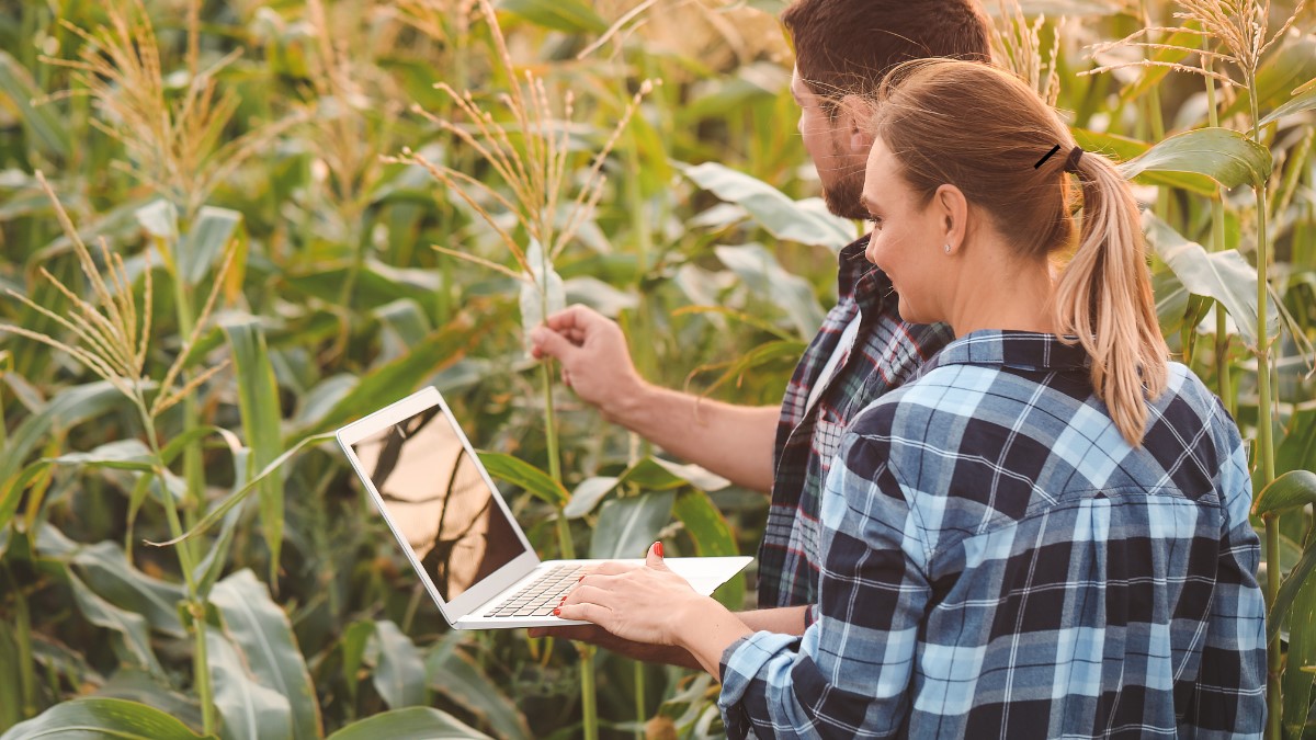 Grupo Limber avança no agronegócio com fusão da Infogen